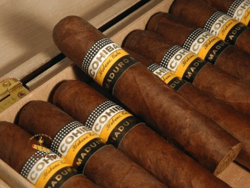 Xì gà là biểu tượng của sự sang trọng và đẳng cấp